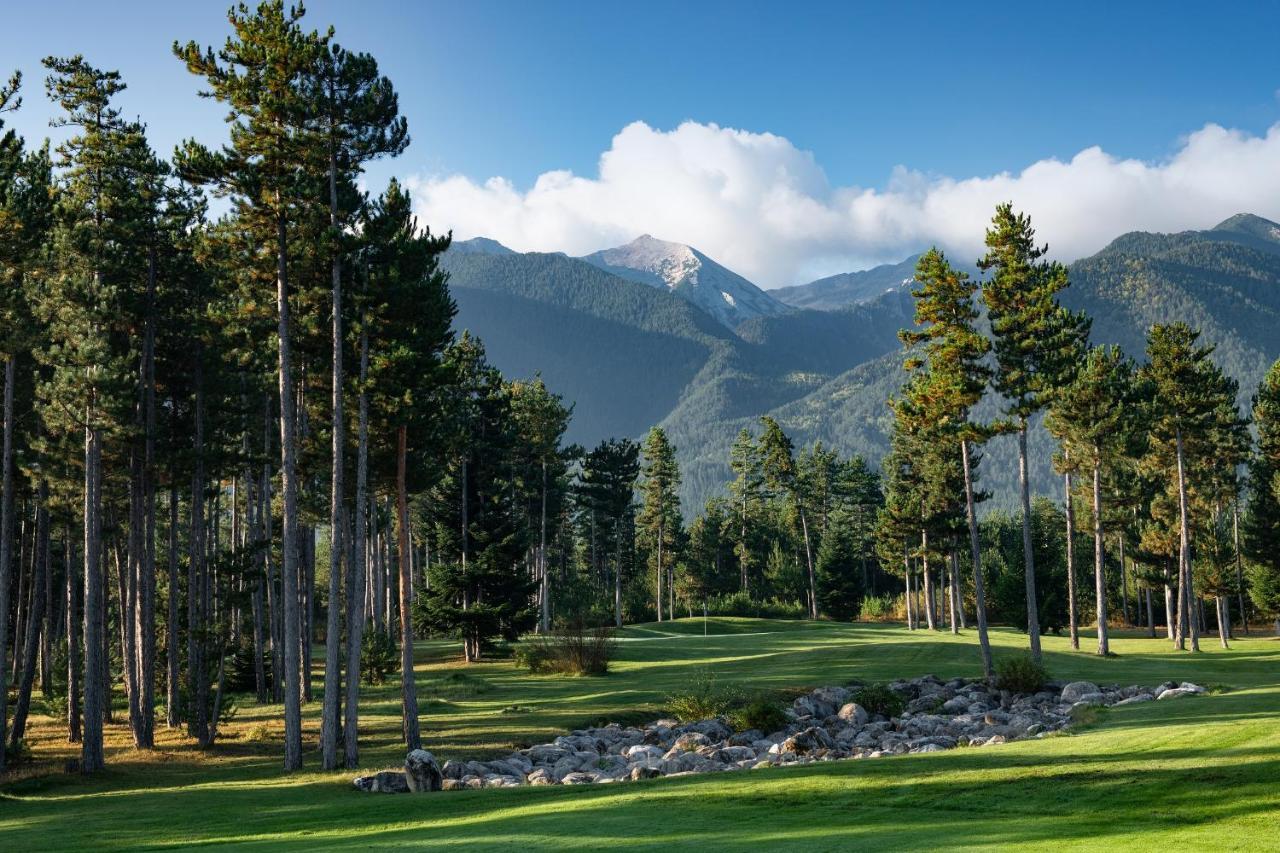 Luxury Chalets Pirin Golf & Country Club 반스코 외부 사진